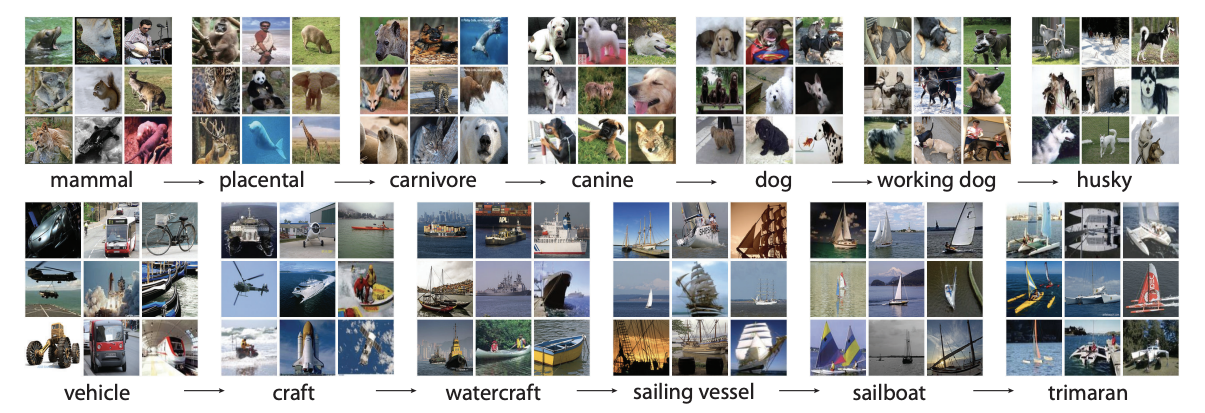 ImageNet example images